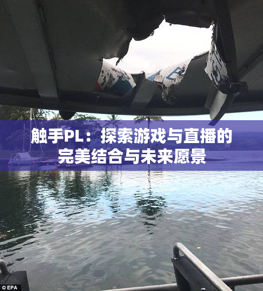 触手PL：探索游戏与直播的完美结合与未来愿景