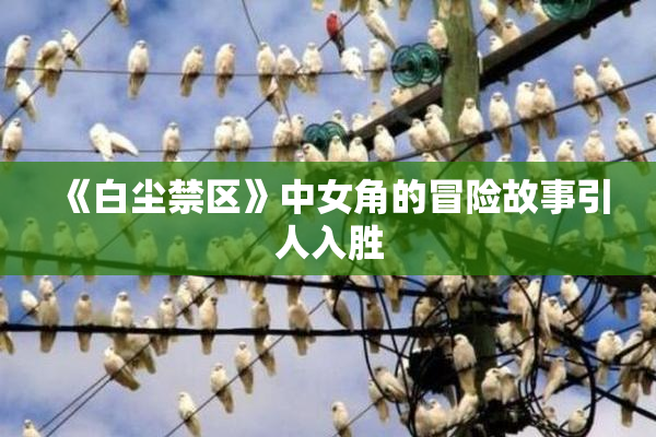 《白尘禁区》中女角的冒险故事引人入胜