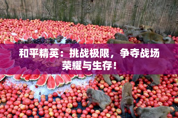 和平精英：挑战极限，争夺战场荣耀与生存！
