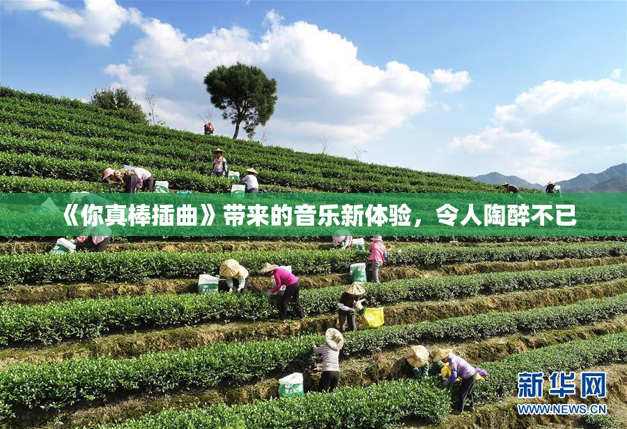 《你真棒插曲》带来的音乐新体验，令人陶醉不已