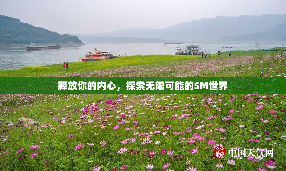 释放你的内心，探索无限可能的SM世界