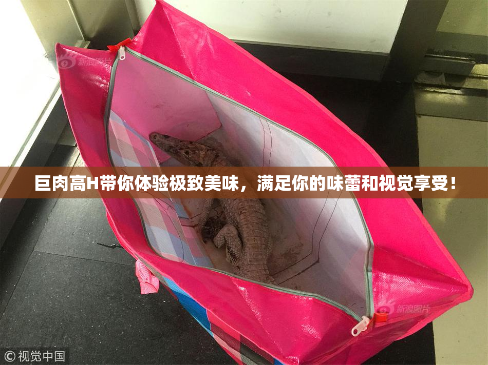 巨肉高H带你体验极致美味，满足你的味蕾和视觉享受！