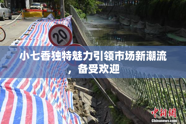 小七香独特魅力引领市场新潮流，备受欢迎
