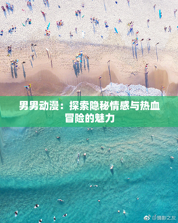 男男动漫：探索隐秘情感与热血冒险的魅力