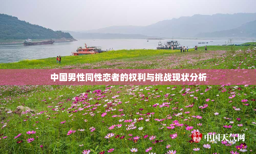 中国男性同性恋者的权利与挑战现状分析