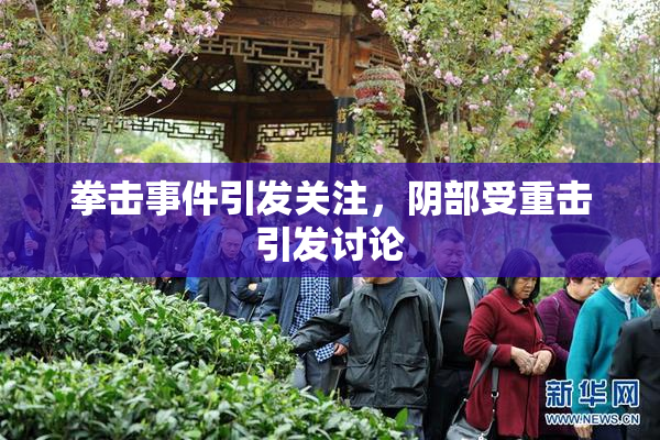 拳击事件引发关注，阴部受重击引发讨论