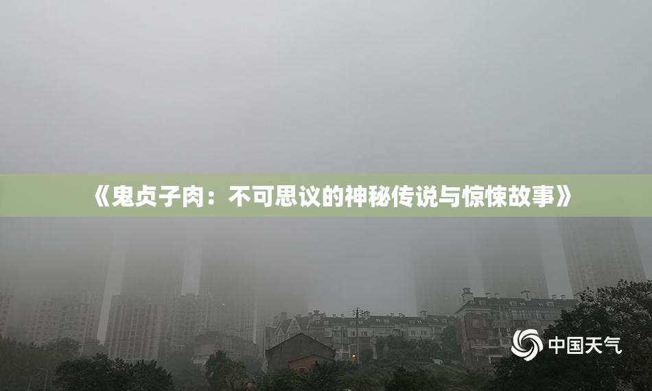 《鬼贞子肉：不可思议的神秘传说与惊悚故事》