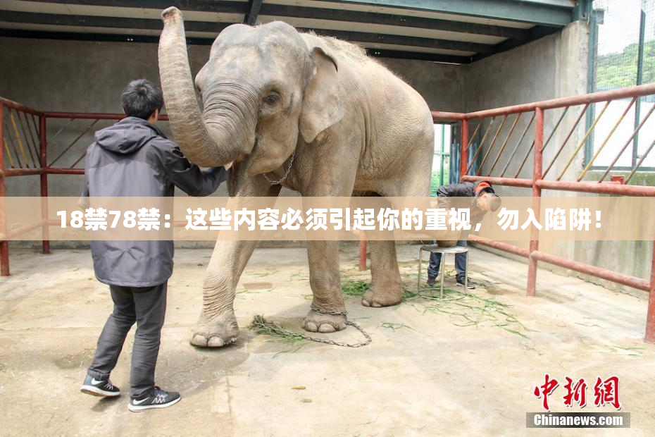 18禁78禁：这些内容必须引起你的重视，勿入陷阱！
