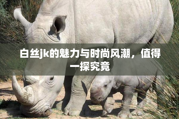 白丝jk的魅力与时尚风潮，值得一探究竟