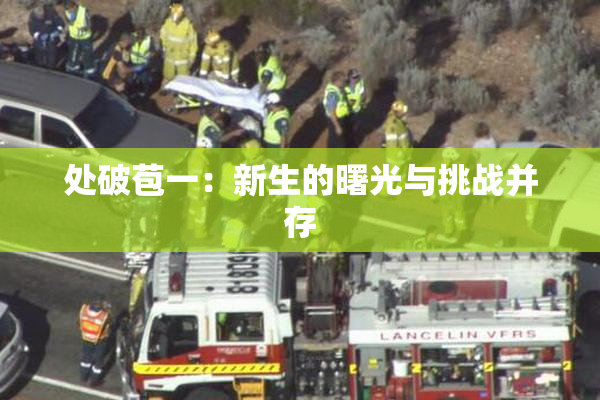 处破苞一：新生的曙光与挑战并存