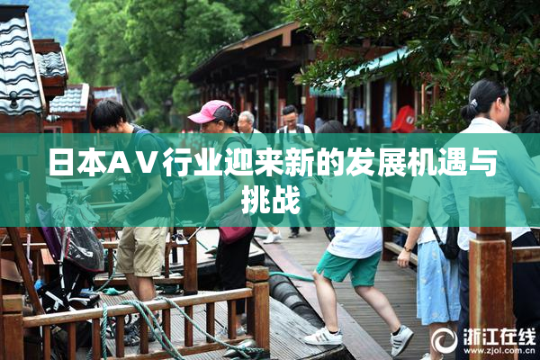 日本AⅤ行业迎来新的发展机遇与挑战