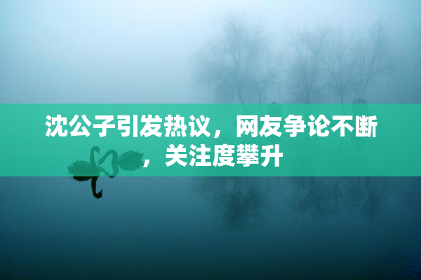 沈公子引发热议，网友争论不断，关注度攀升