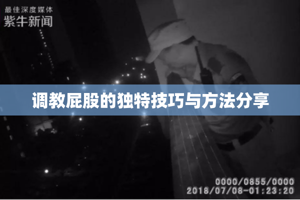 调教屁股的独特技巧与方法分享