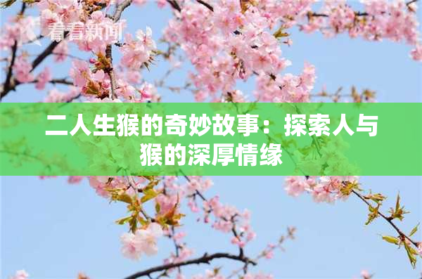 二人生猴的奇妙故事：探索人与猴的深厚情缘