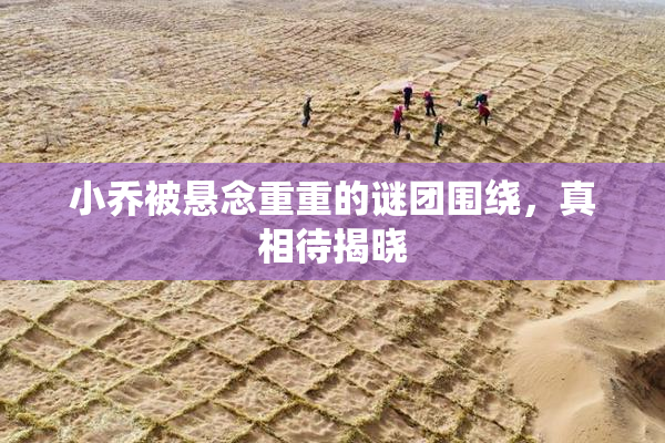 小乔被悬念重重的谜团围绕，真相待揭晓