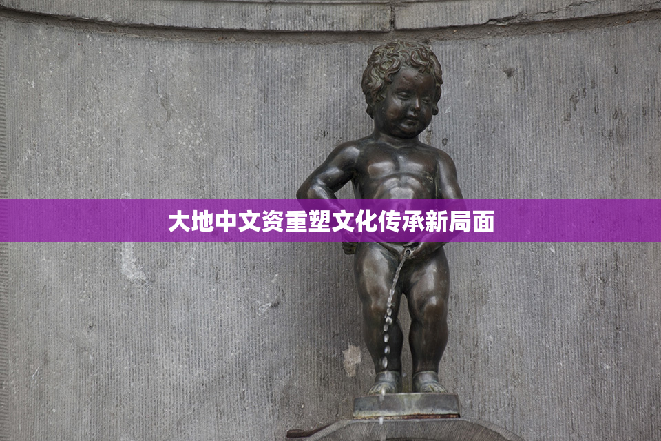 大地中文资重塑文化传承新局面