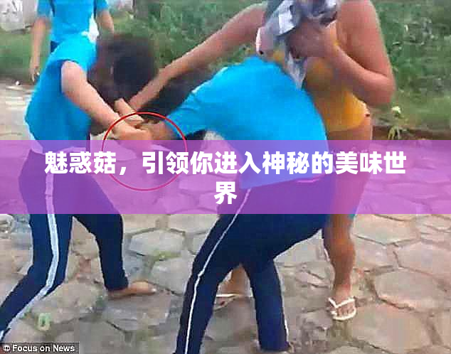 魅惑菇，引领你进入神秘的美味世界