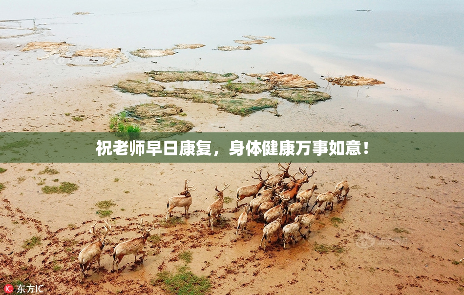 祝老师早日康复，身体健康万事如意！