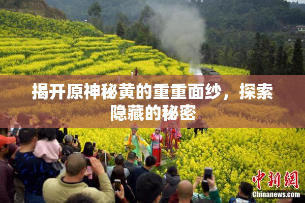 揭开原神秘黄的重重面纱，探索隐藏的秘密