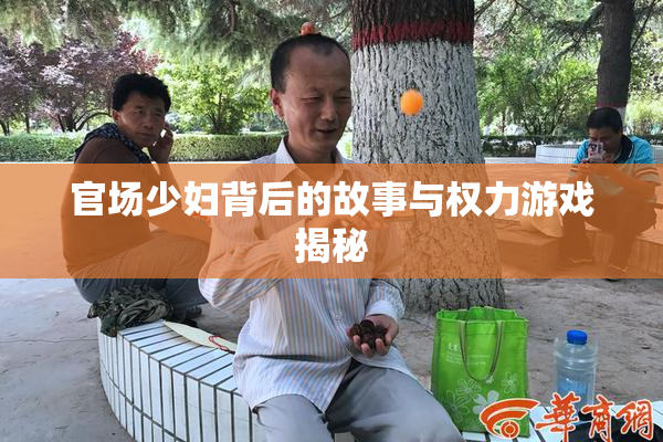 官场少妇背后的故事与权力游戏揭秘