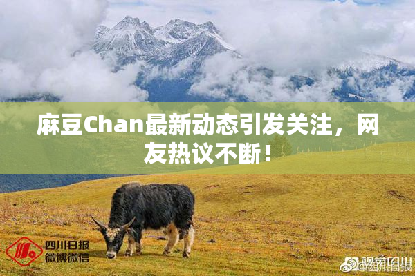 麻豆Chan最新动态引发关注，网友热议不断！