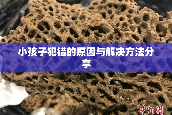 小孩子犯错的原因与解决方法分享
