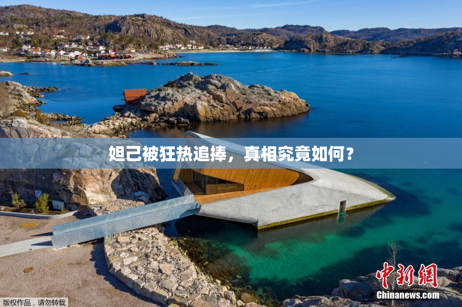 妲己被狂热追捧，真相究竟如何？