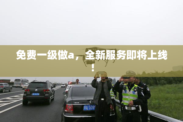 免费一级做a，全新服务即将上线！