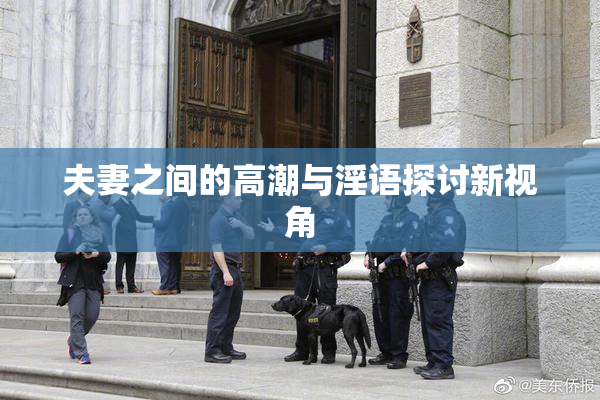 夫妻之间的高潮与淫语探讨新视角