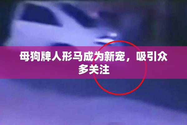 母狗牌人形马成为新宠，吸引众多关注