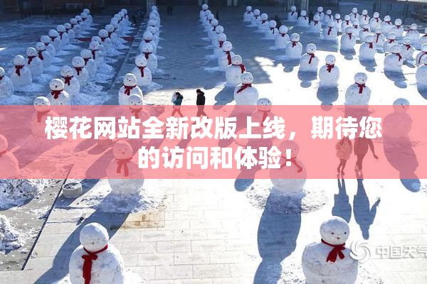 樱花网站全新改版上线，期待您的访问和体验！