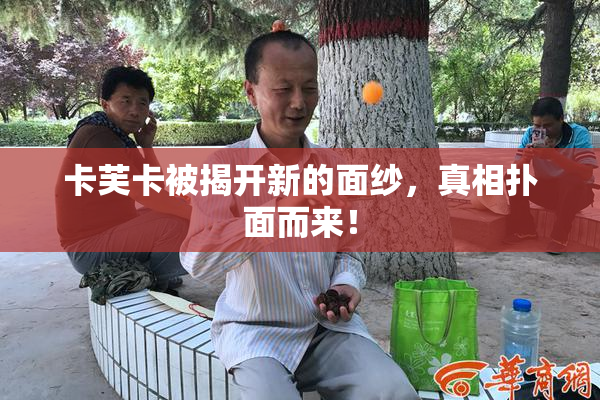 卡芙卡被揭开新的面纱，真相扑面而来！