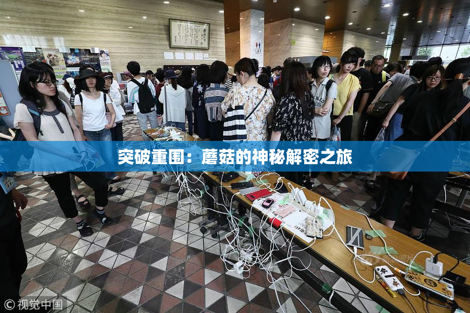 突破重围：蘑菇的神秘解密之旅