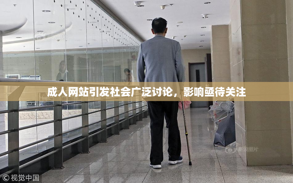 成人网站引发社会广泛讨论，影响亟待关注