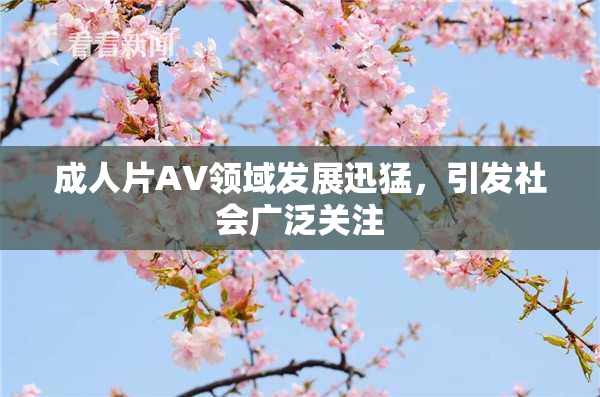 成人片AV领域发展迅猛，引发社会广泛关注
