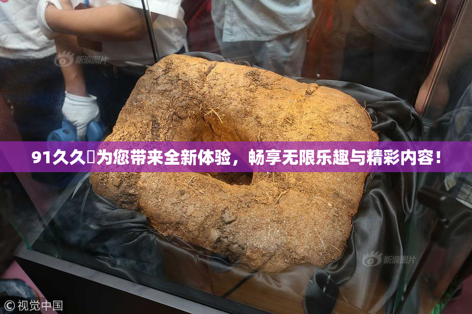 91久久擼为您带来全新体验，畅享无限乐趣与精彩内容！