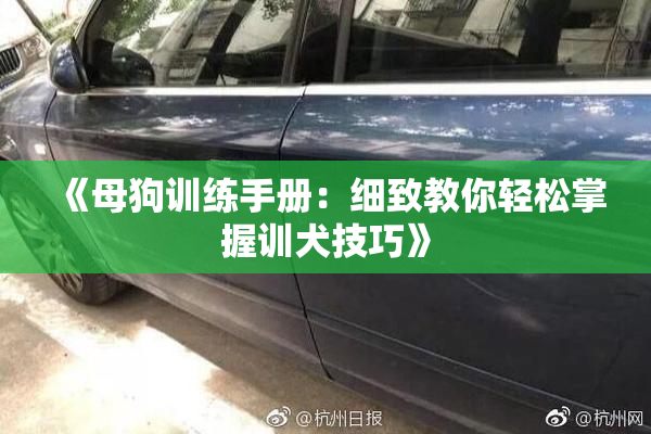 《母狗训练手册：细致教你轻松掌握训犬技巧》