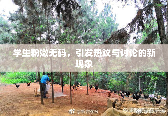 学生粉嫩无码，引发热议与讨论的新现象