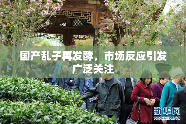 国产乱子再发酵，市场反应引发广泛关注