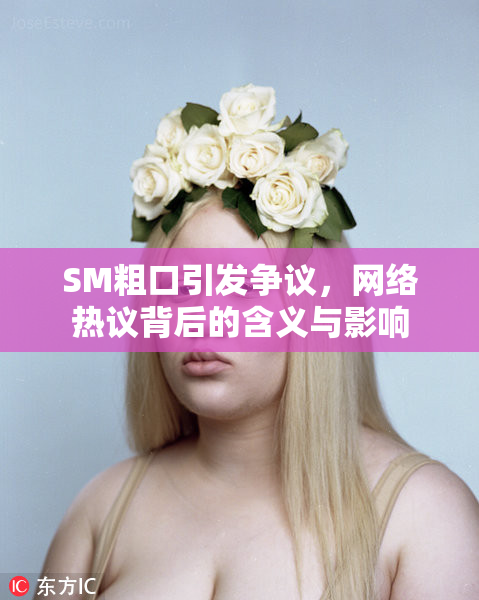 SM粗口引发争议，网络热议背后的含义与影响