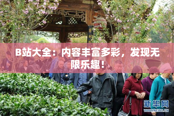 B站大全：内容丰富多彩，发现无限乐趣！