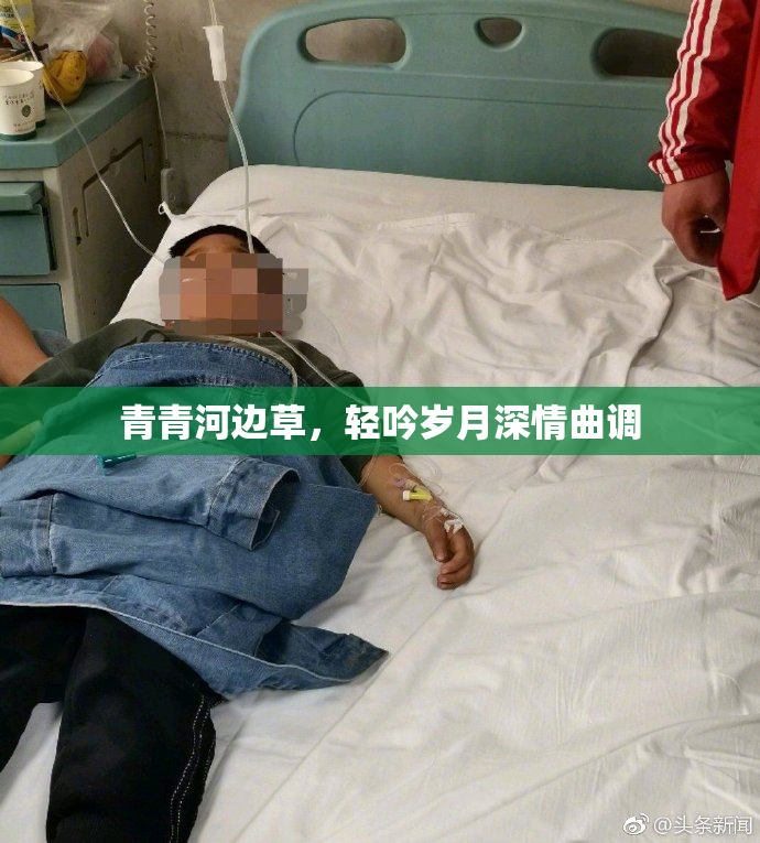 青青河边草，轻吟岁月深情曲调