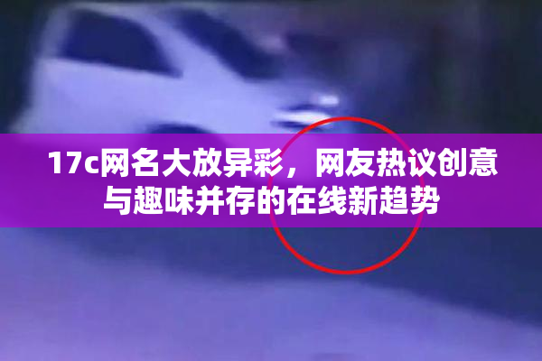 17c网名大放异彩，网友热议创意与趣味并存的在线新趋势