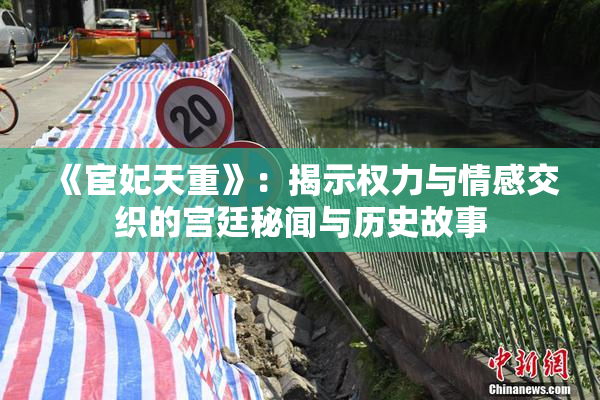 《宦妃天重》：揭示权力与情感交织的宫廷秘闻与历史故事