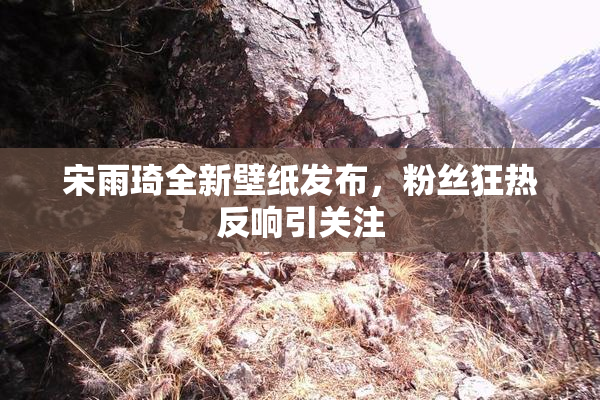 宋雨琦全新壁纸发布，粉丝狂热反响引关注