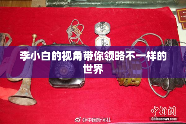 李小白的视角带你领略不一样的世界