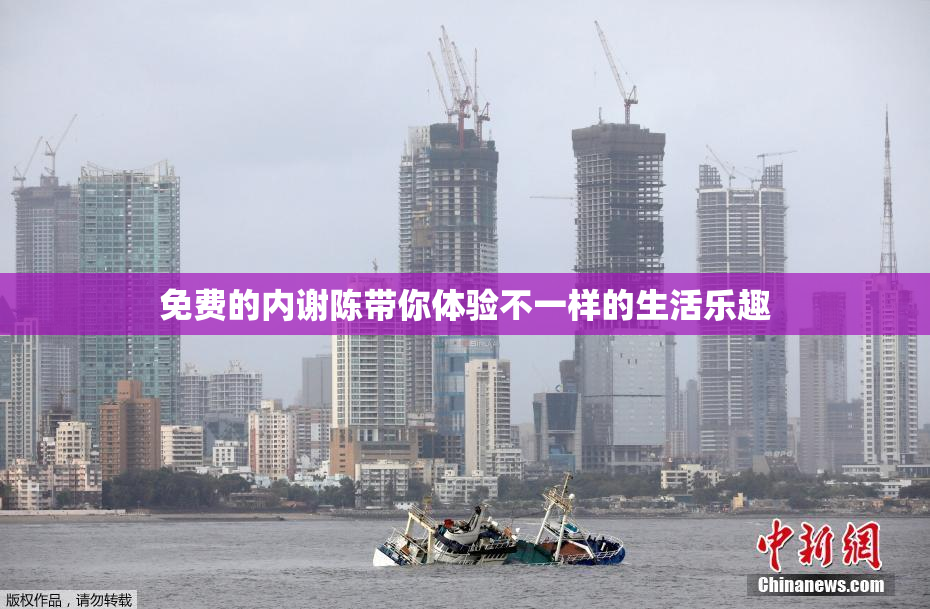 免费的内谢陈带你体验不一样的生活乐趣