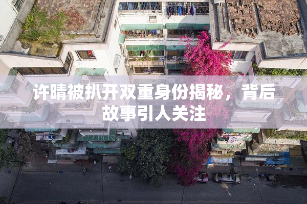 许晴被扒开双重身份揭秘，背后故事引人关注