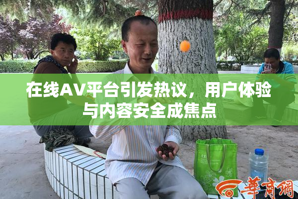 在线AV平台引发热议，用户体验与内容安全成焦点