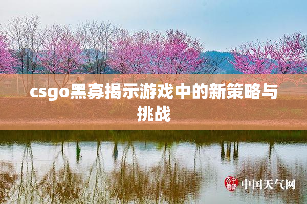 csgo黑寡揭示游戏中的新策略与挑战